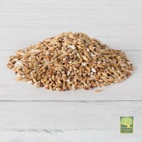 Laverock Bird food - Depurative-1